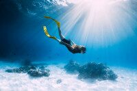 Mit WhyDives schnell zum Warum